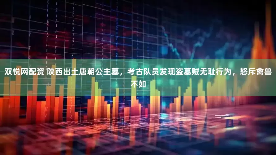 双悦网配资 陕西出土唐朝公主墓，考古队员发现盗墓贼无耻行为，怒斥禽兽不如